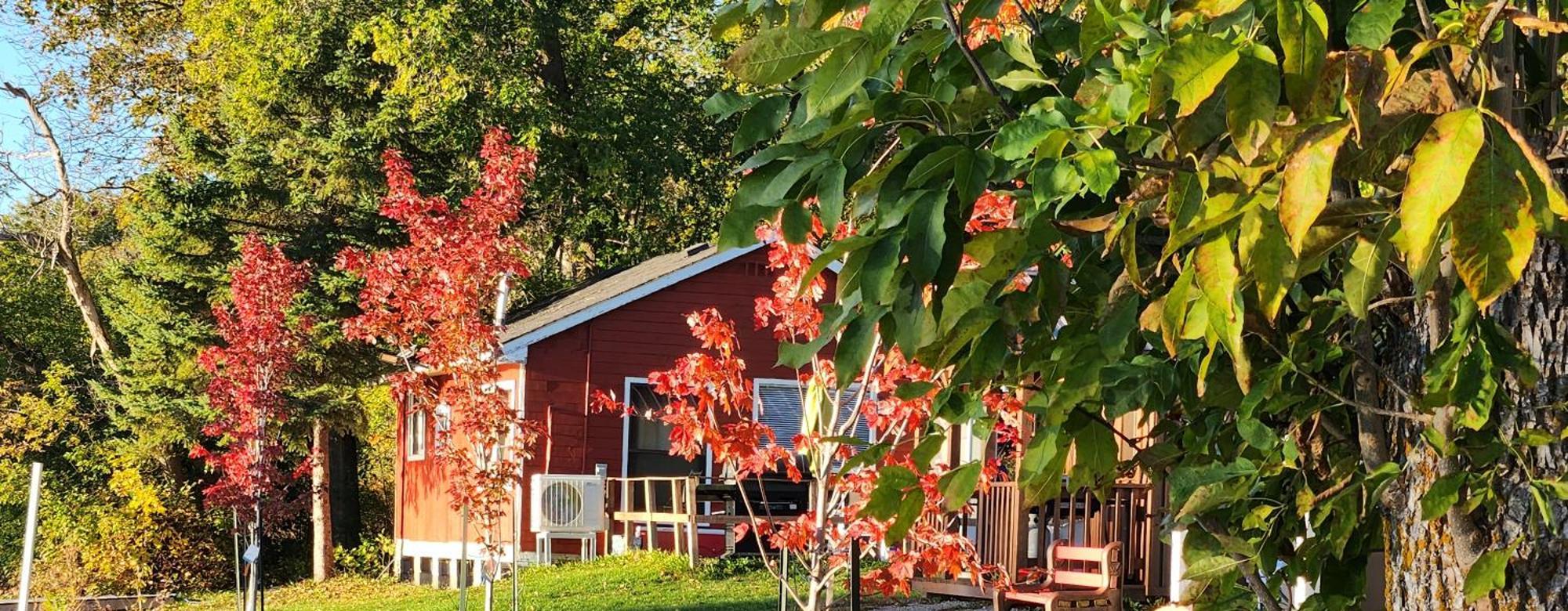 Trent River Cottages Hastings Экстерьер фото